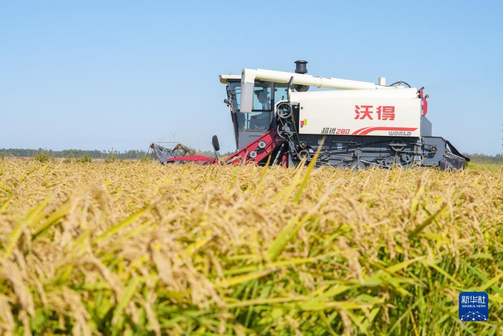 扑鱼游戏单机版